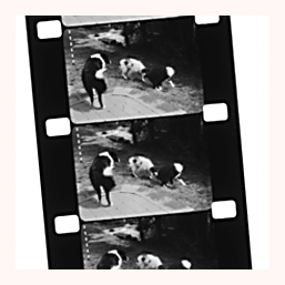 16mm Silent Cine Film Conversions